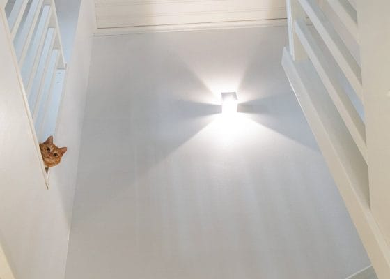 Lighting and atmosphere with LED light and LED wall lights