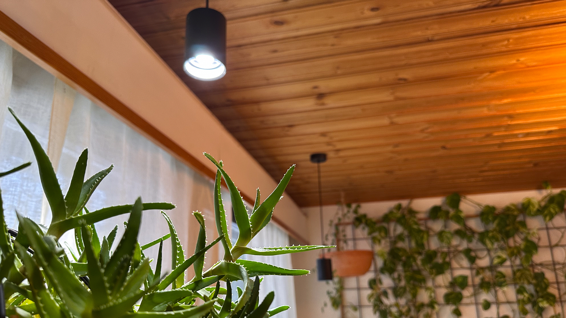Blog - LedStore