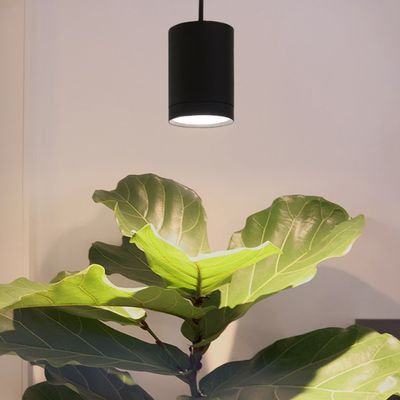 Suspended LED plant light FOKUS - Dimmable 30W, 5 step CCT 2700K-6000K, matte black, CRI98